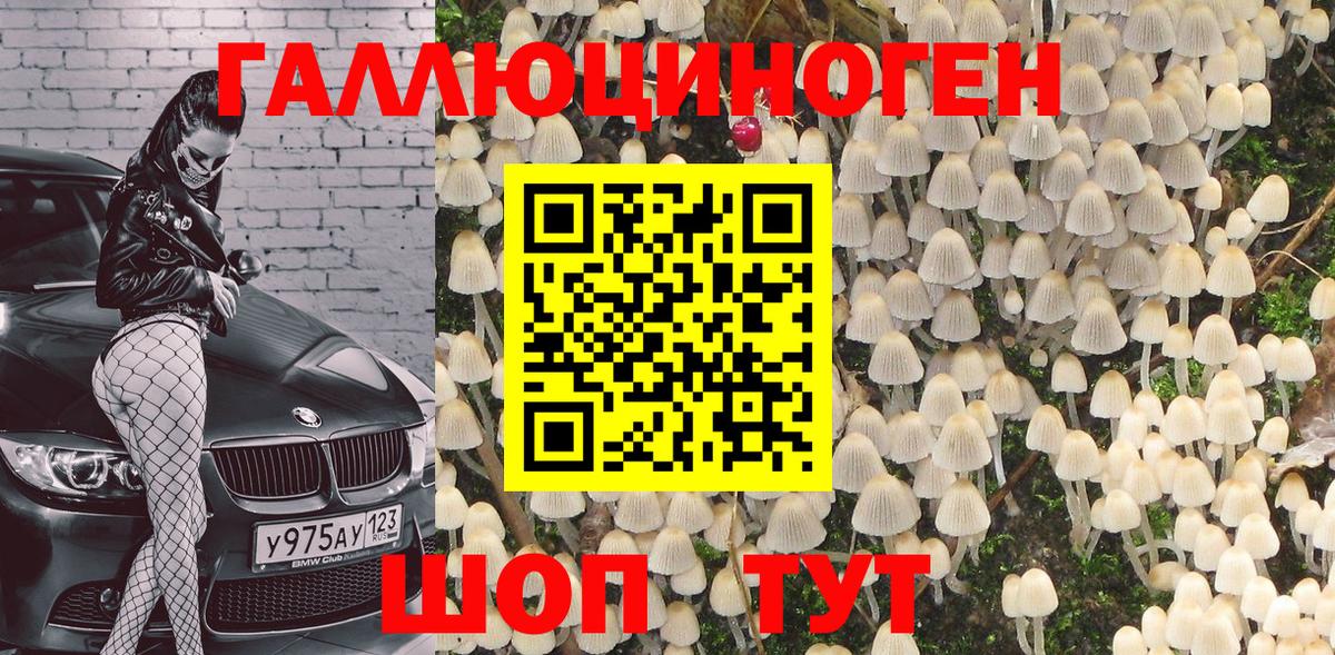 Галлюциногенные грибы Psilocybine cubensis Острогожск