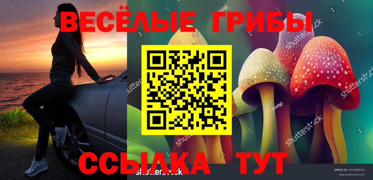 Острогожск  Галлюциногенные грибы прущие грибы  где продают наркотики  Вход с VPN 